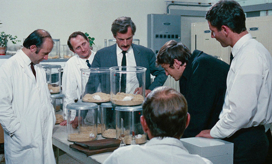 Je t'aime, je t'aime