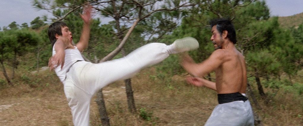 Zhi-gang does climactic battle with Lei Biao