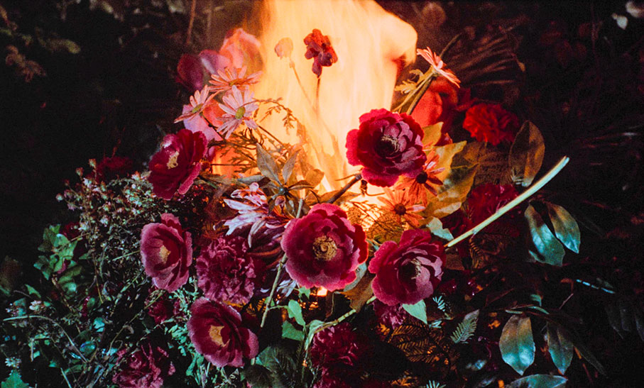 The girl burns a symbolic pile of roses