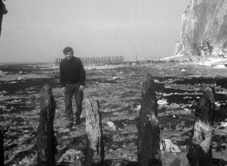 The poet walks the beach in The Yellow Loves