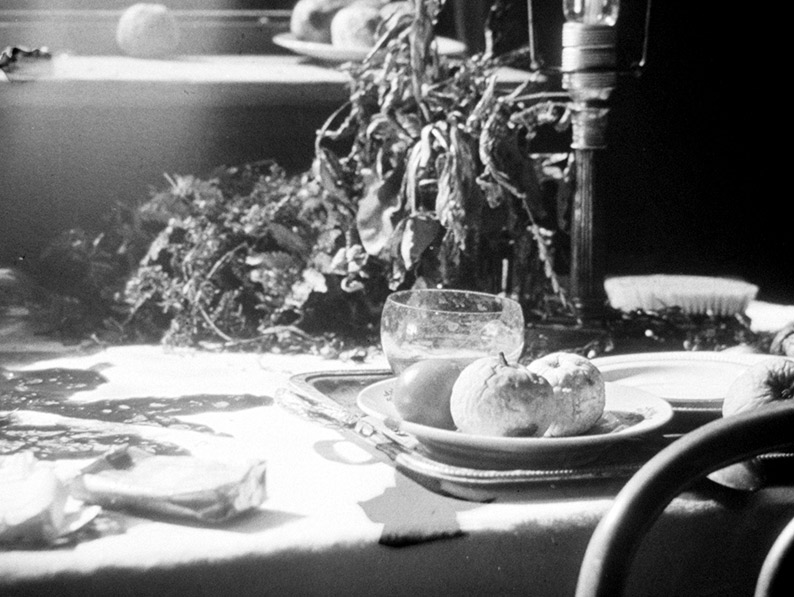 Essential Polish Animation – The Source