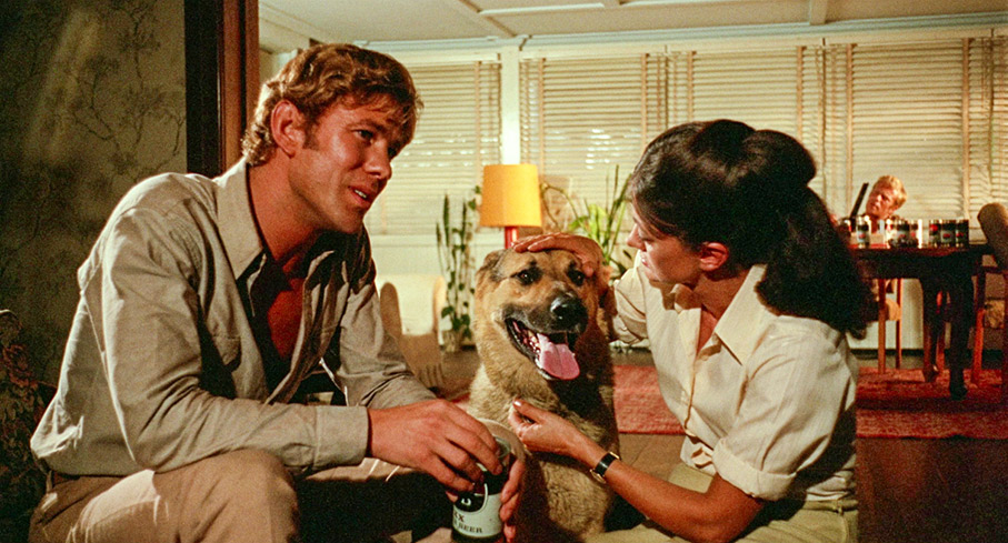 John chats with Janette
