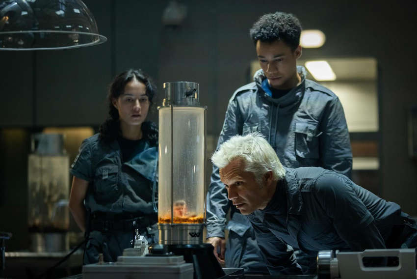 Curly, Tootle and Kirsh examine the specimens