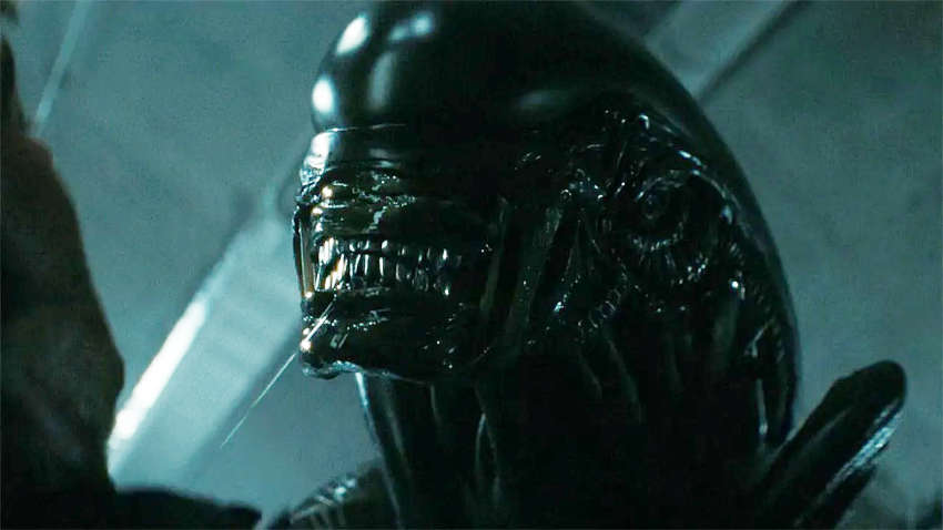 The Xenomorph prepares to strike