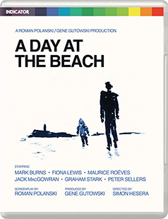 A Day at the Beach Blu-ray cover