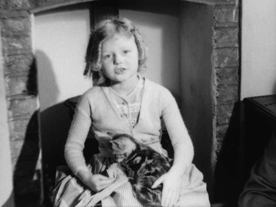 Farson's Guide to British: Cats