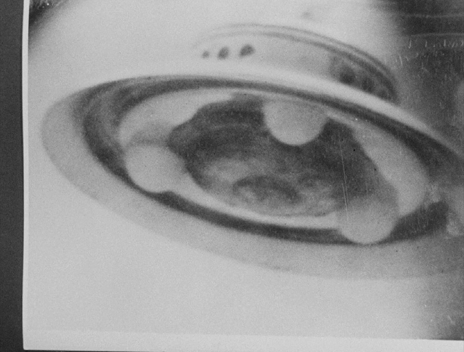 Other Worlds are Watching Us