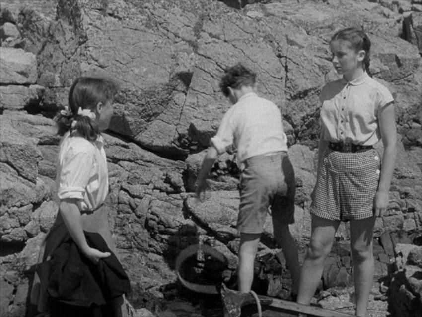 The Mystery of Bird Island