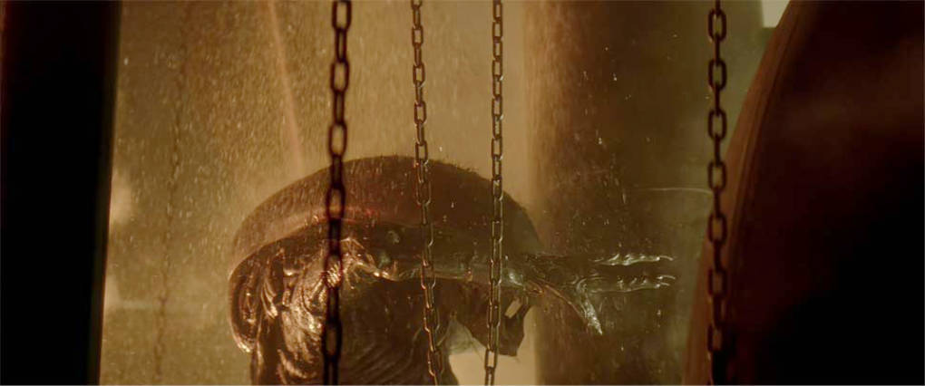 The alien is trapped