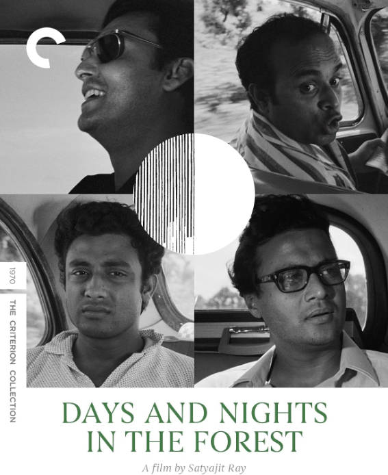 Days and Nights in the Forest UHD cover