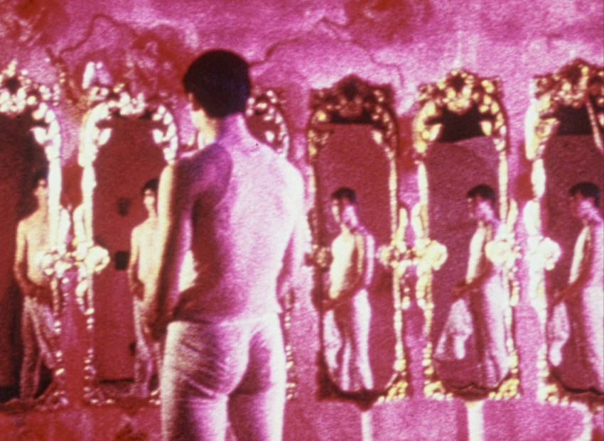 Pink Narcissus