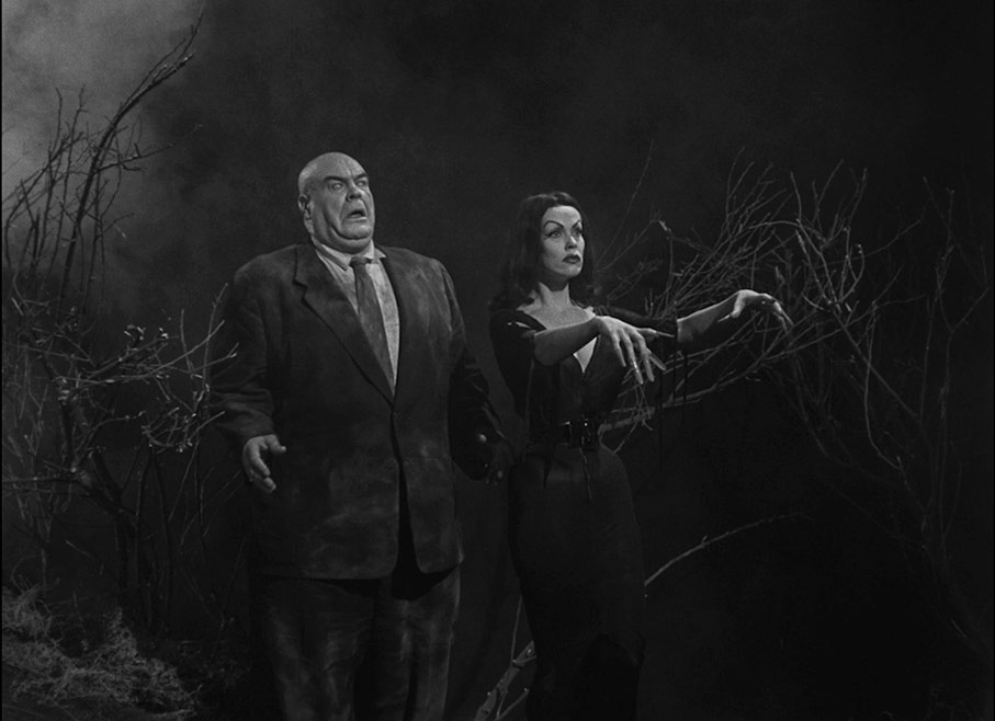 Plan 9 from Outer Space 1.37:1