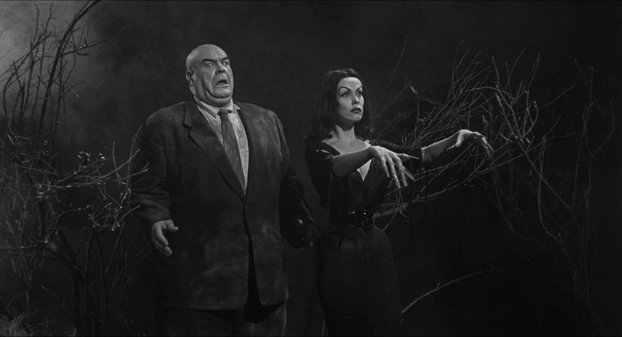 Plan 9 from Outer Space 1.85:1